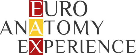 Euro Academy